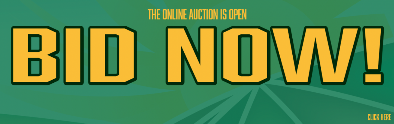 Online Auction Graphic, bid now